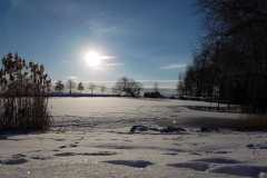 IMG-20230309-WA0002