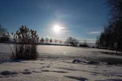 IMG-20230309-WA0005
