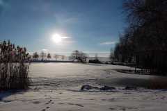 IMG-20230309-WA0008