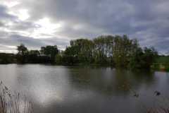 IMG-20230309-WA0011