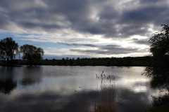 IMG-20230309-WA0014