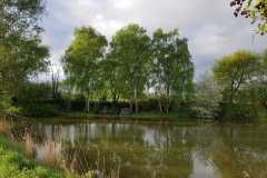 IMG-20230309-WA0020