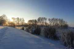 IMG-20230309-WA0021